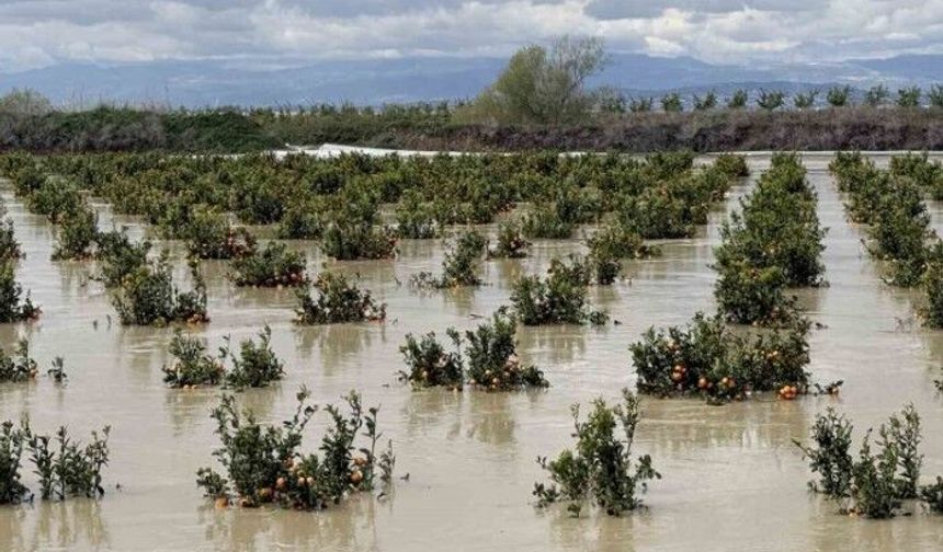 Mersin’de üreticilere kritik uyarı