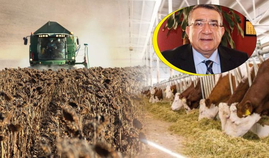 Özdemir: "Kırsal kalkınma destekleri stratejik öneme sahip"