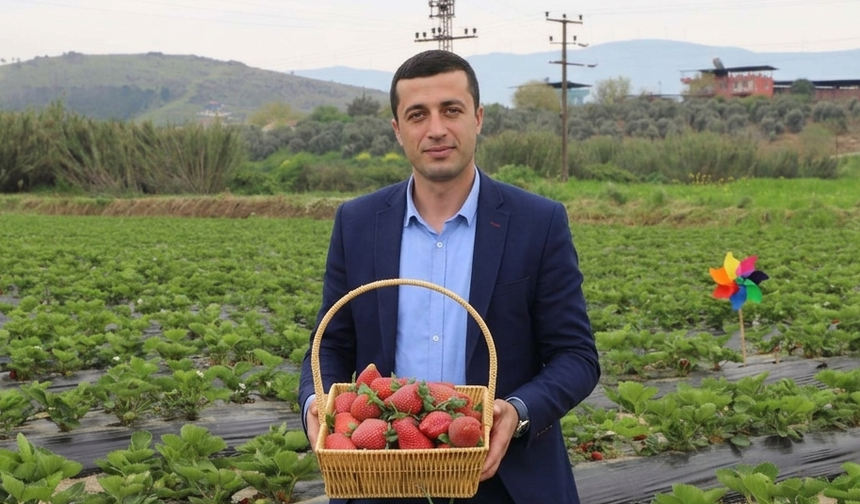 Çilek ve muz üreticisinden "İthalle terbiye ediliyoruz" tepkisi