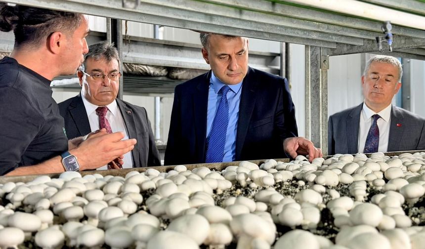 Yeşil enerjiyle büyüyen üretim: Toroslar’da başarı hikayesi
