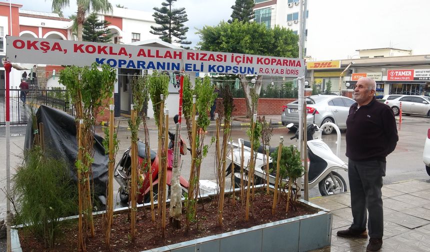 Annesinin hatırası için 40 yıldır reyhan yetiştiriyor