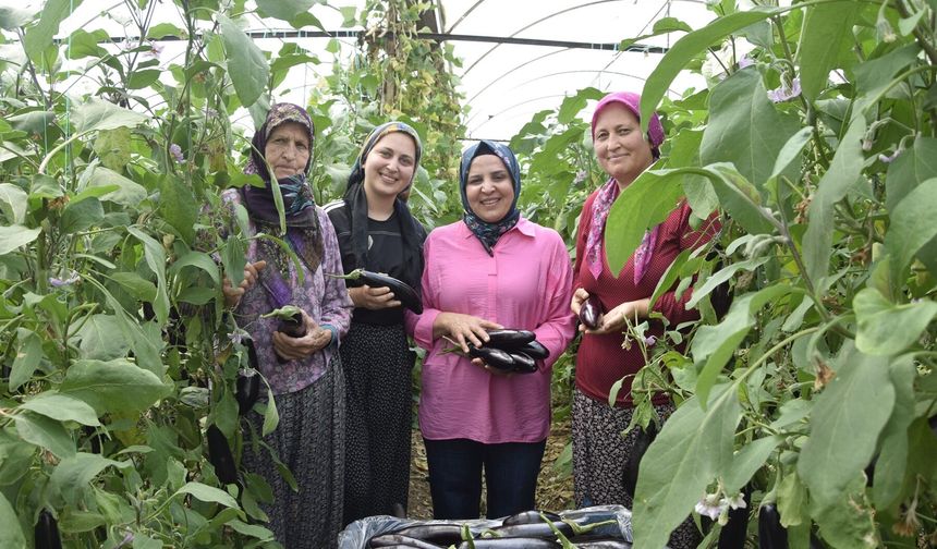 Nineden toruna aile ekonomisine katkı sağlıyorlar