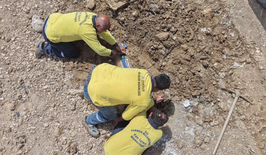 30 dönümlük alanda kurban satışları için hazırlık