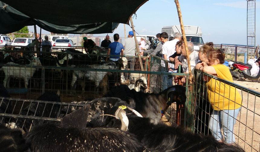 Mersin'de kurban pazarlarında hareketlilik arttı