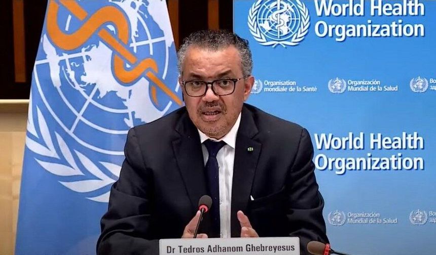 DSÖ: Ülkeler yeni hantavirüs vakalarına karşı hazırlıklı olmalı