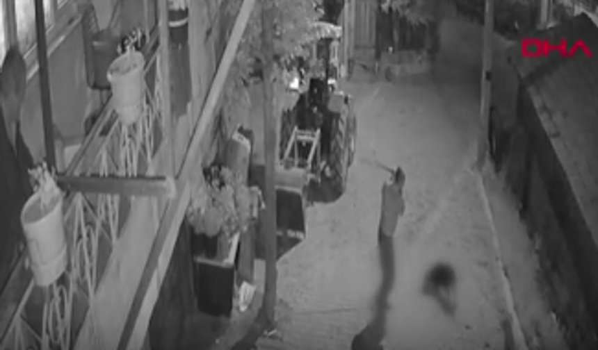 Köpeğini demir sopayla vurarak öldürdü