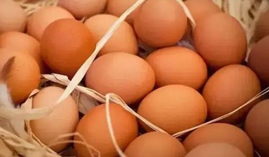 TÜİK: Aylık yumurta ile tavuk eti üretimi arttı