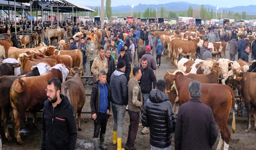Türkiye’nin en büyük canlı hayvan pazarında bayram hareketliliği