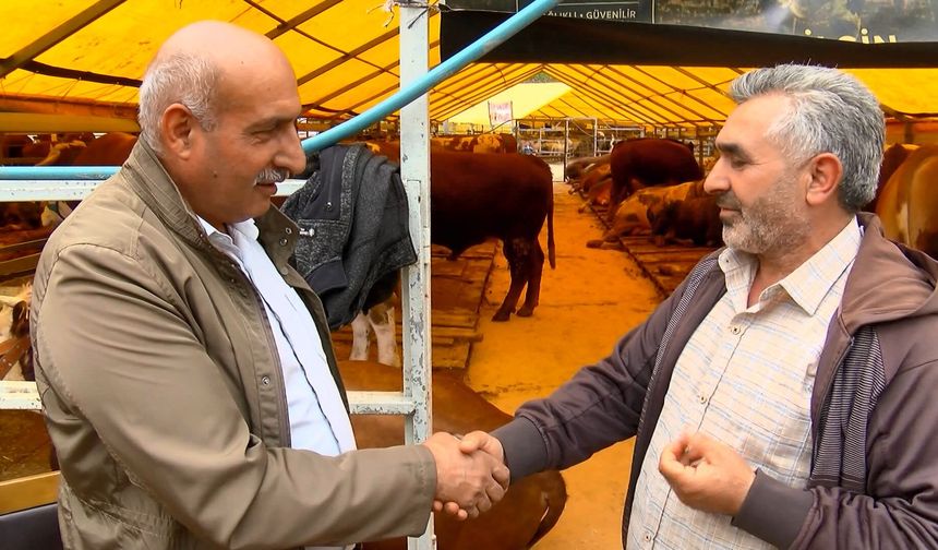 Kurban Bayramı'na günler kala hayvan pazarlarında hareketlilik sürüyor
