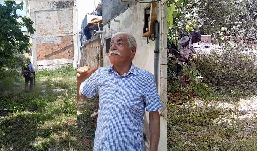 Kiremithane Mahallesi’nde yabani otlara karşı temizlik seferberliği
