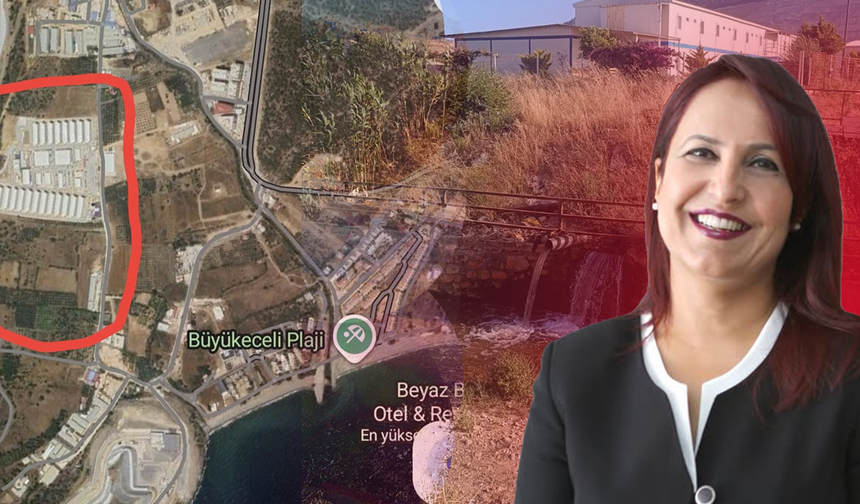 Avukat Ayşe Doğan’dan çevre skandalı iddiası: Akkuyu NGS işçi kampının atık suları dereye boşaltılıyor