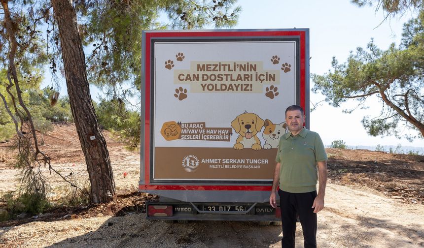Mezitli’de sokak hayvanları için dev proje ihaleye çıkıyor