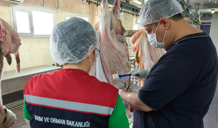 Çamlıyayla'da kesimhanelerde hijyen denetimleri aralıksız sürüyor