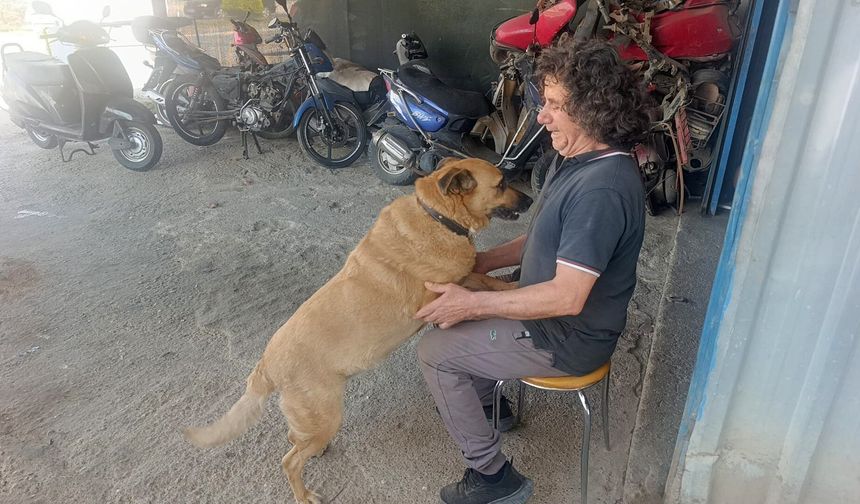 Gözleri görmeyen köpeğe 13 yıldır evladı gibi bakıyor