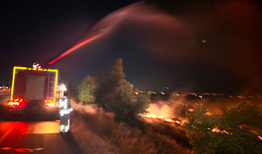 Anız yangını 200 dönüm zeytinliği kül etti