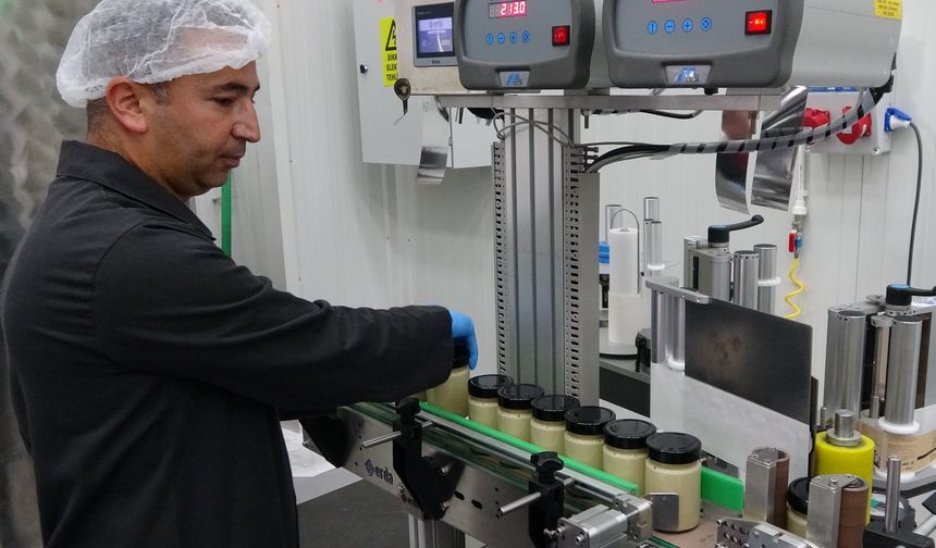 Beyaz rengiyle merak uyandıran balın gerçeği şaşırtıyor