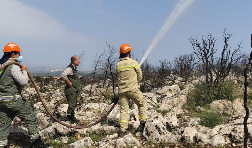 Silifke'de orman yangını tatbikatı