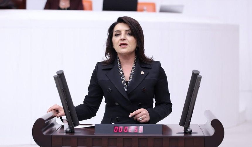Mersin Milletvekili Kış: "Esnaf borcunu çeviremiyor"