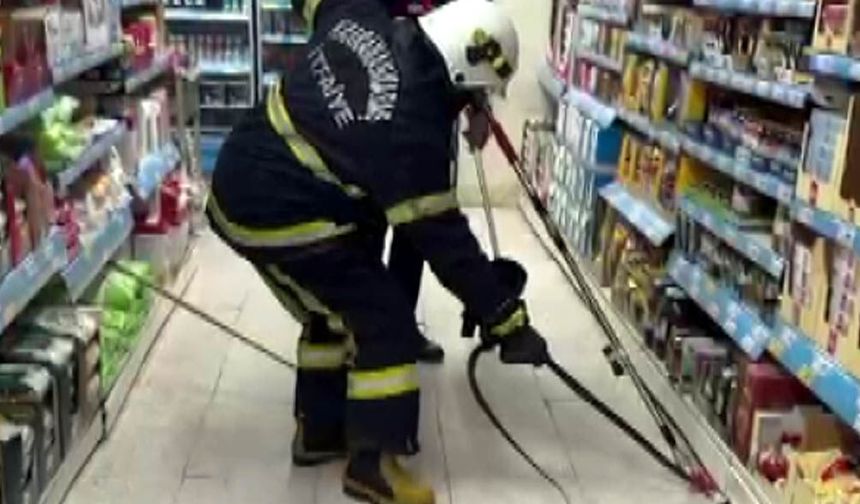 Markete yılan girdi itfaiye çıkardı