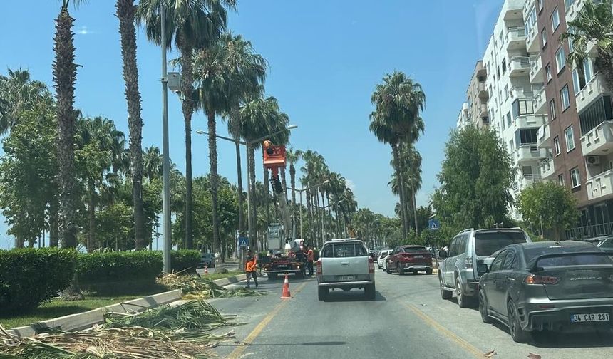 Büyükşehir parkları yaza hazırlıyor