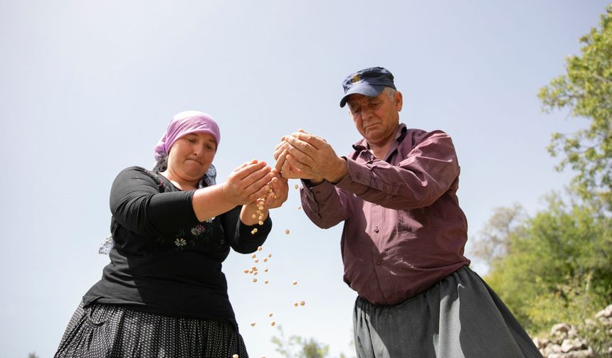 Mersin Büyükşehir’den yerel tarıma güçlü destek