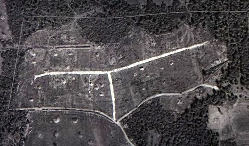 Ormanı bölüşen kamu personeline mahkeme 'dur' dedi