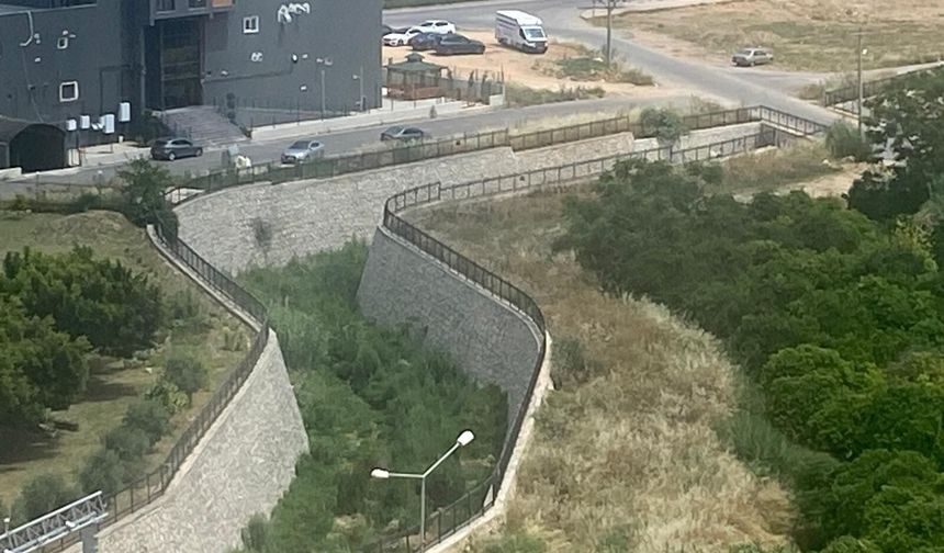 Temizlenmeyen dere yatağı sinekle mücadeleye darbe vuruyor