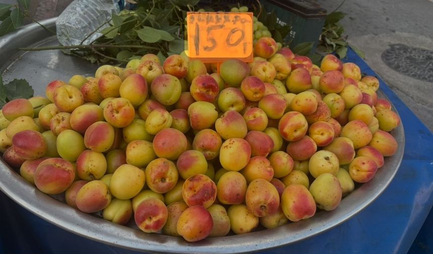 Kayısı şeker fiyat acı