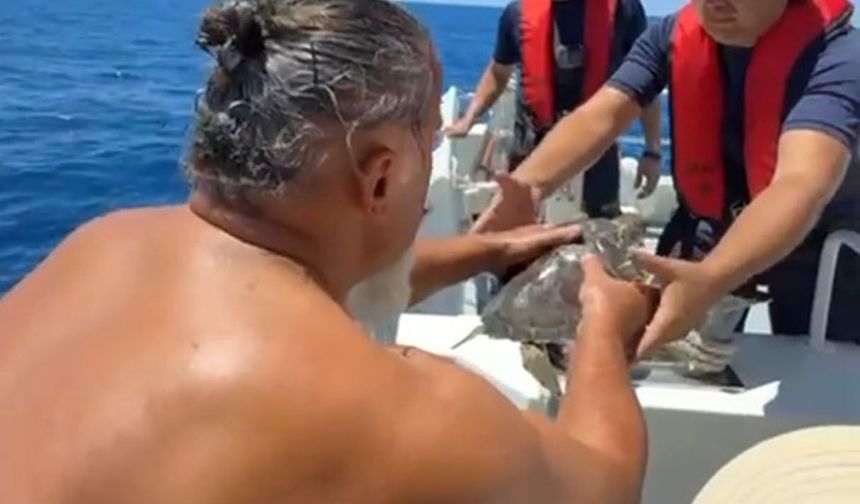 Denizde çuvala dolanan kaplumbağa kurtarıldı