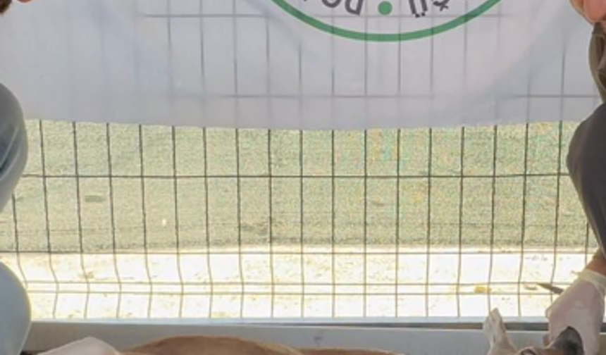 Avcıya rekor ceza: 1 Milyon 276 bin TL