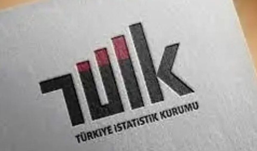 TÜİK: Sanayi ve hizmet sektörlerinde ciro yükselişi sürdü