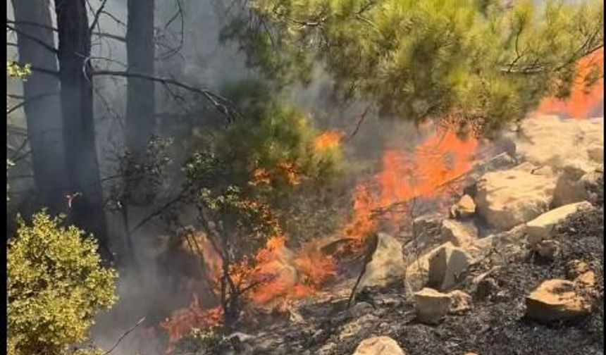 Gülnar’da orman yangını