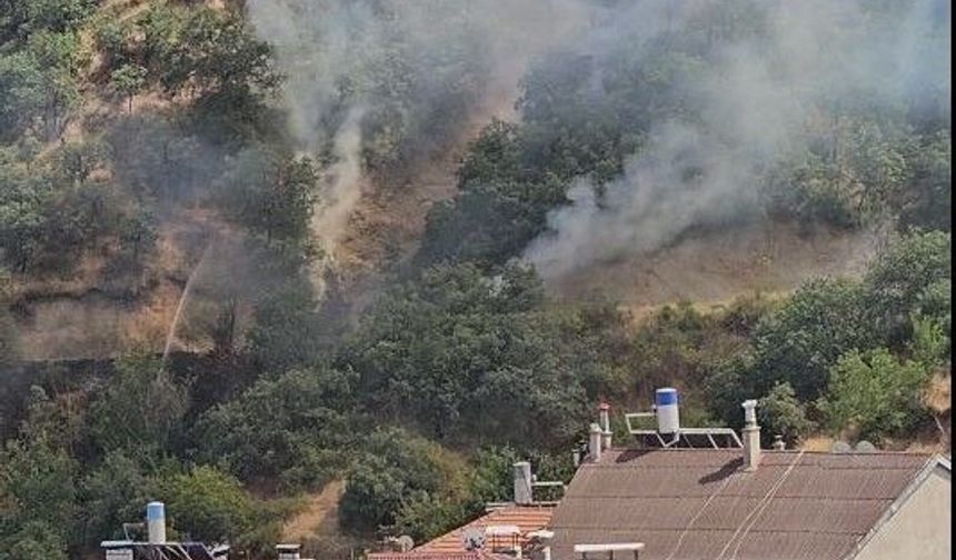 Kastamonu'da orman yangını yerleşim yerine yaklaştı