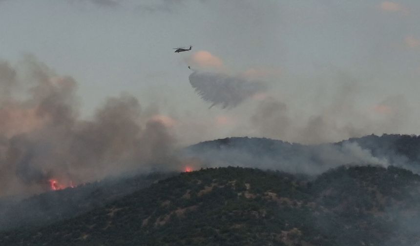 Orman yangınına havadan ve karadan müdahale