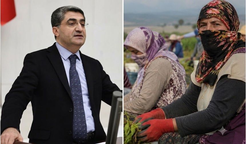DEVA Partili Ekmen’den tarım işçileri için çağrı