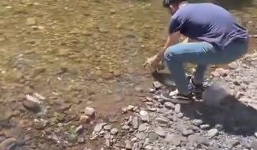 Bidona sıkışan kaplumbağa kurtarıldı