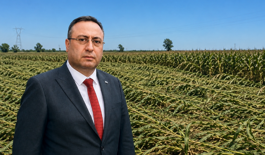 Başkan Avcı: ''Fırtınanın en büyük zararını mısır üreticisi yaşadı''