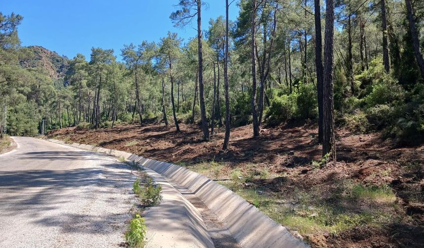 OGM'den ormanlarda önleyici çalışma