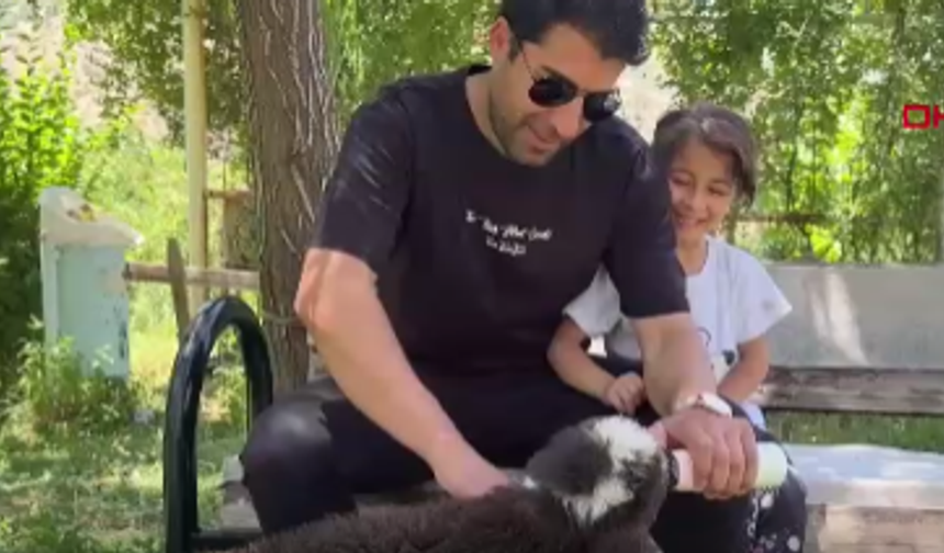 2 günlük yetim kuzuya anne şefkati