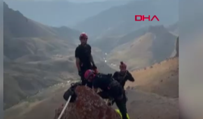 AFAD ekipleri 4 keçiyi kurtardı