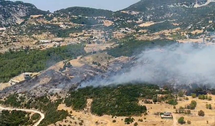 Kaş'ta orman yangını