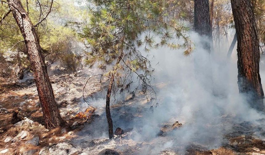 Antalya'da yangın