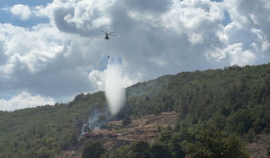 Bursa'da orman yangını