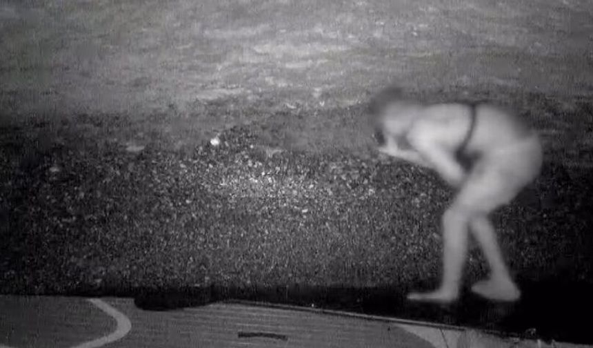 Koruma altındaki fokların yuvasına girdi: Fotokapana yakalandı