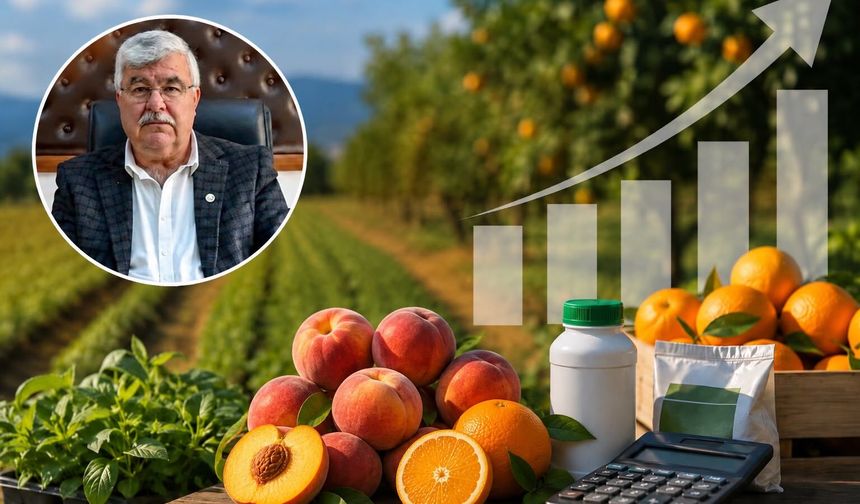 Tarımsal girdi fiyatları yüzde 32 arttı, peki Mersin’de durum nedir?