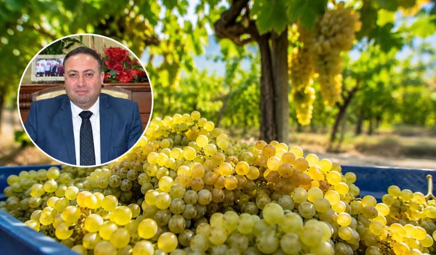 Üzüm üreticisi 11 TL'lik alım fiyatına tepkili