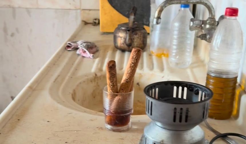 100 kedili evin ardında yoksulluk ve çaresizlik çıktı