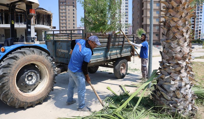Toroslar’da park ve yeşil alanlara yaza özel bakım