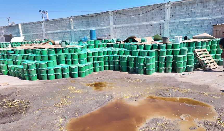 Mersin'de tonlarca bozuk turşu ele geçirildi