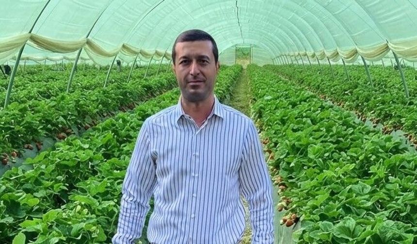 Anamur'da çilek sezonu öncesi kritik uyarı